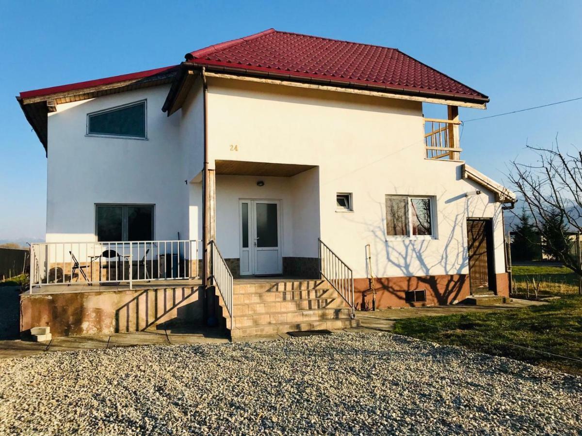 Vila Ekooos Braşov Buitenkant foto