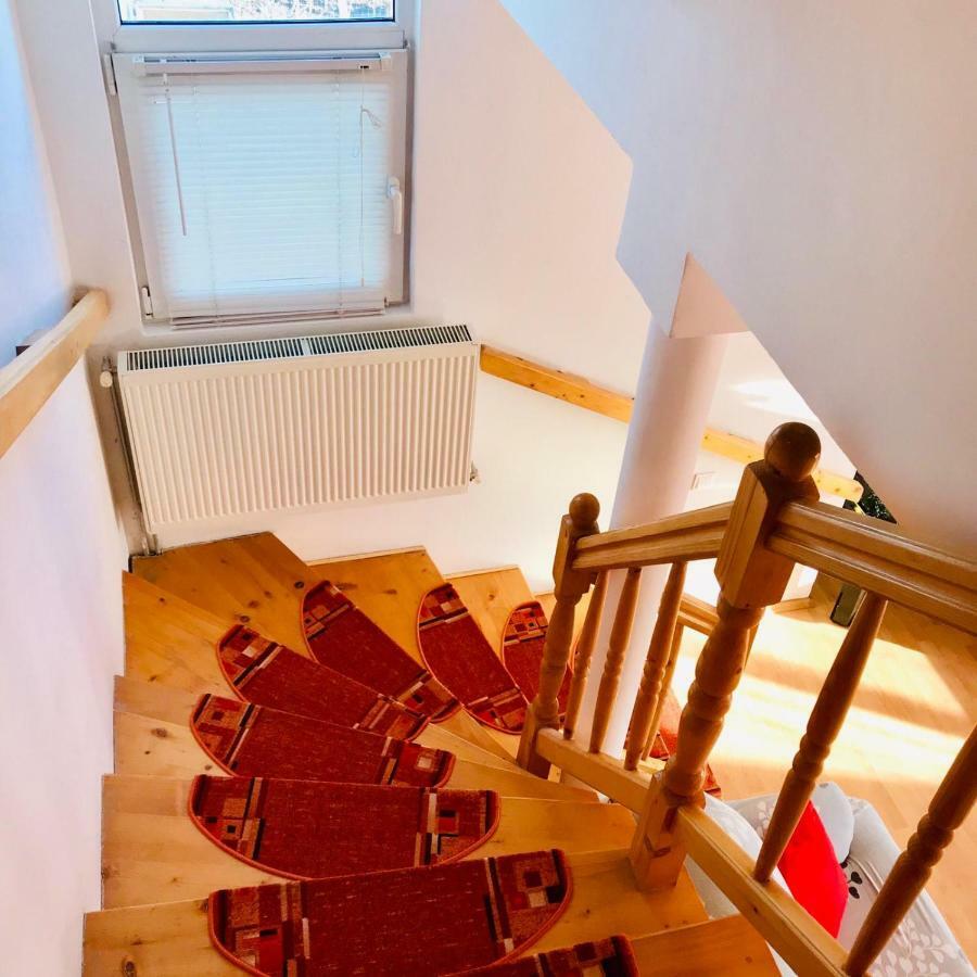 Vila Ekooos Braşov Buitenkant foto