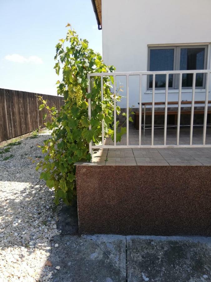 Vila Ekooos Braşov Buitenkant foto