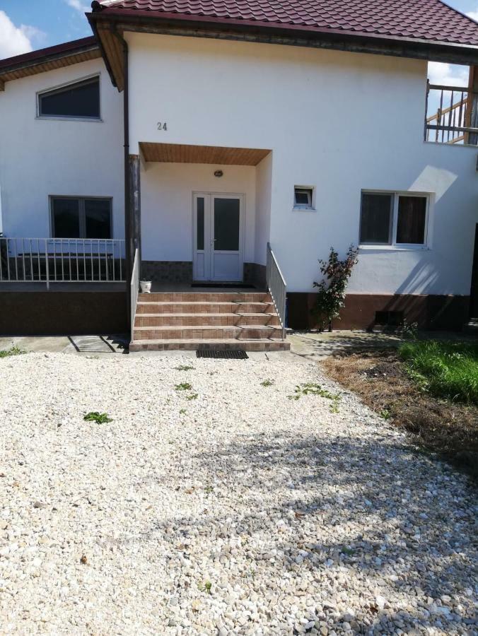Vila Ekooos Braşov Buitenkant foto